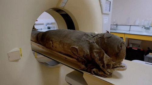 Momies d'Égypte, en quête d'immortalité