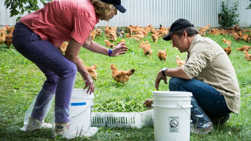 Imatge etiquetada de Mike Rowe