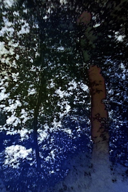 In Paintings, All Emotions