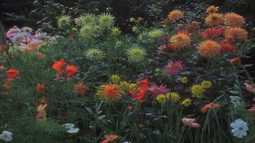 Geschichten übern Gartenzaun