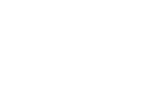 Pequenas Histórias com Bluey - Logo 5