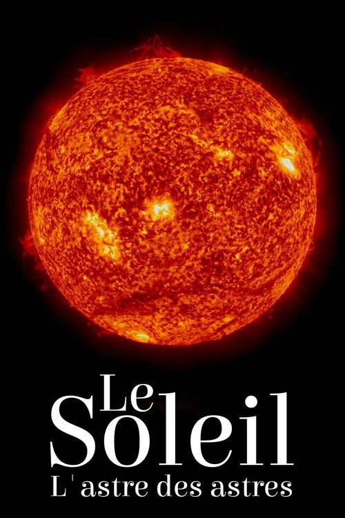 Die Sonne poster