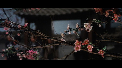 神拳大战快枪手 kaader