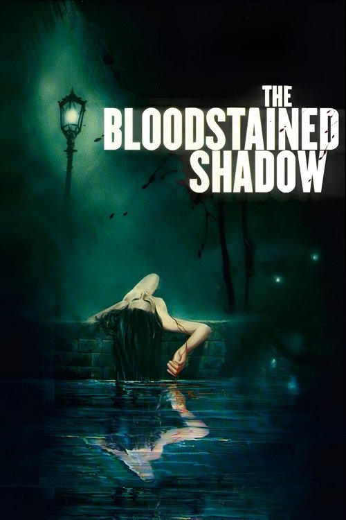 Poster 13
