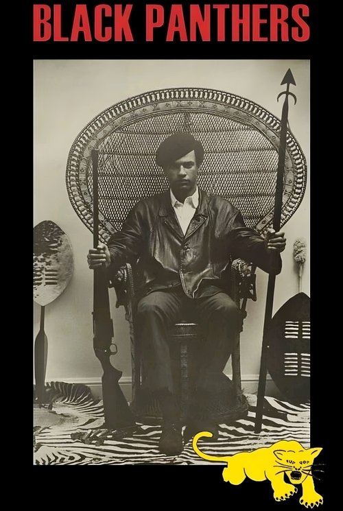 Black Panthers poster