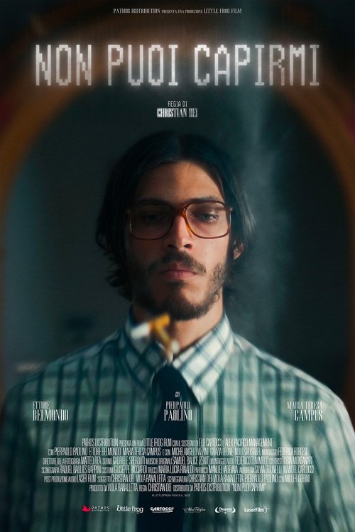 Non Puoi Capirmi poster