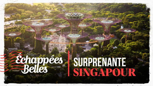 Image Surprenante Singapour