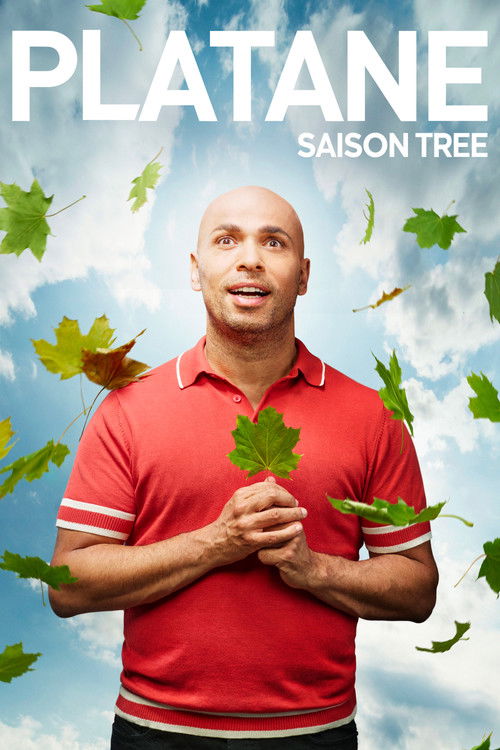 Saison Tree