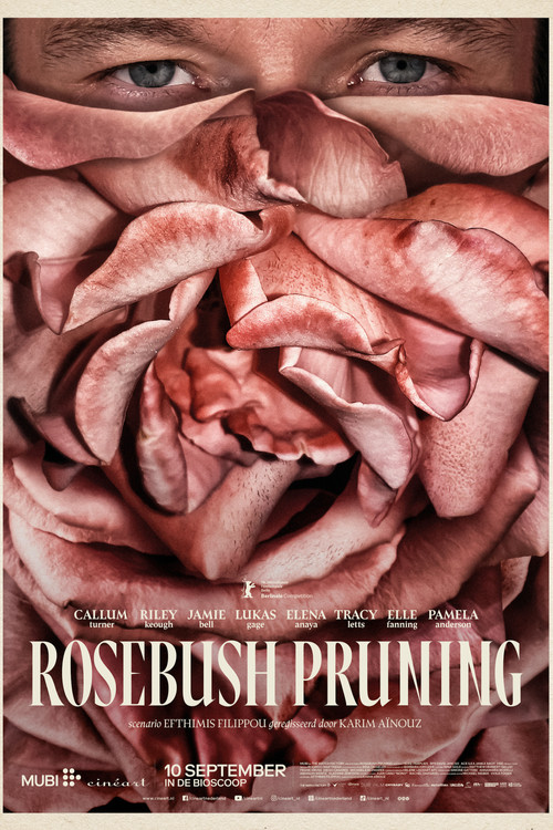 Rosebush Pruning