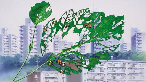 Pom Poko Screenshot