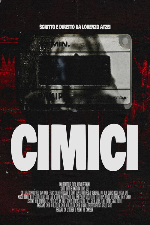 Cimici