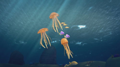 A Jellyfish Tale