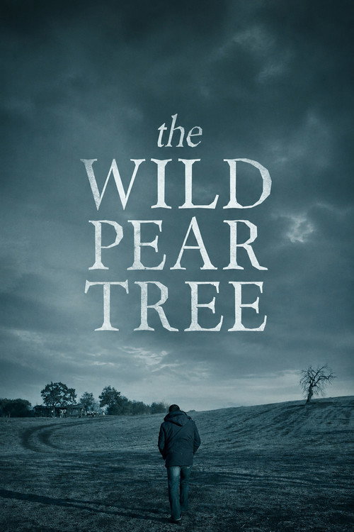 The Wild Pear Tree