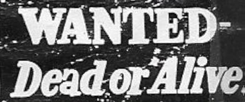 Wanted: Dead or Alive