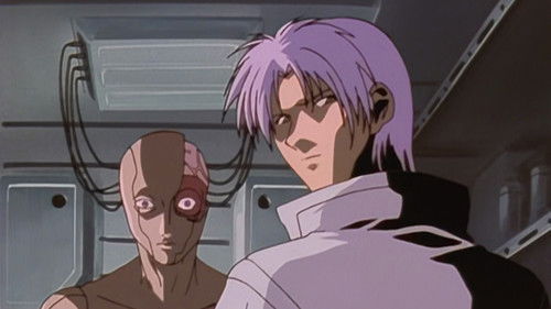 Yulgaha`s Night and Fog