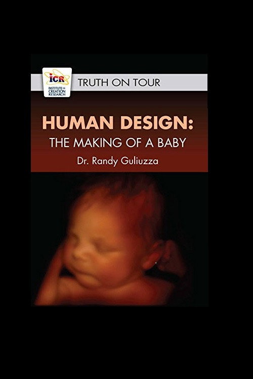 Human Design: The Making of a Baby