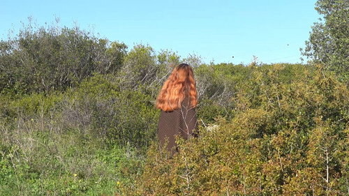 A minha bisavó, e eu, e a tristeza, e eu, e a minha bisavó Backdrop Blur
