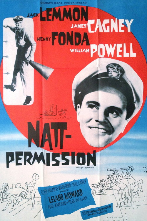 Omslag för Nattpermission