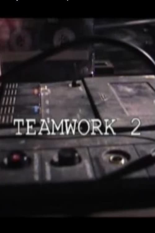 Teamwork 2 2003