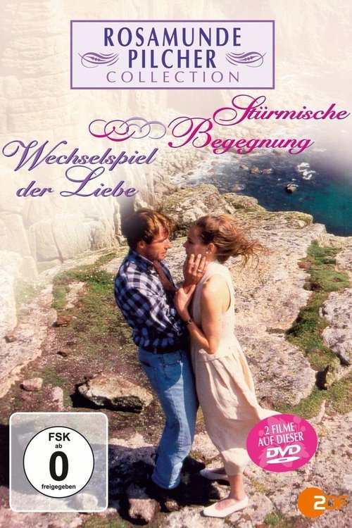 Rosamunde Pilcher: Stürmische Begegnung movie poster player