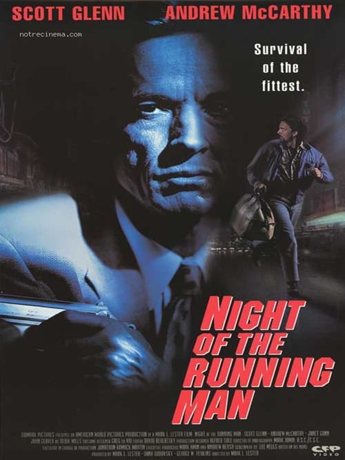 Fugitivo en la noche 1995