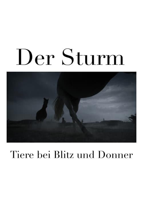 Poster Der Sturm - Tiere bei Blitz und Donner 2023