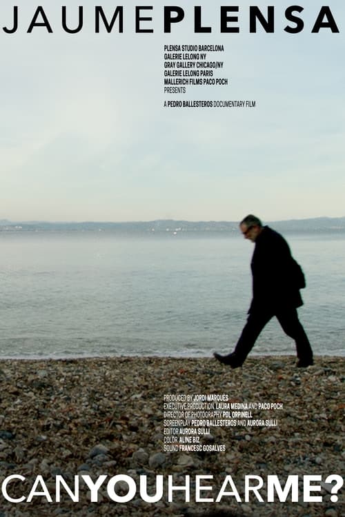Jaume Plensa: Can You Hear Me? Movie Poster Image