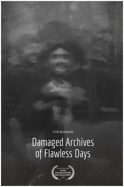 Damaged Archives of Flawless Days still 3