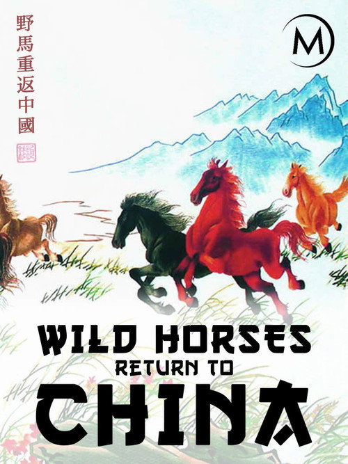 Wild Horses: Return to China