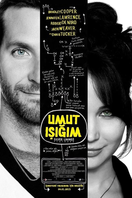 Silver Linings Playbook (2012)