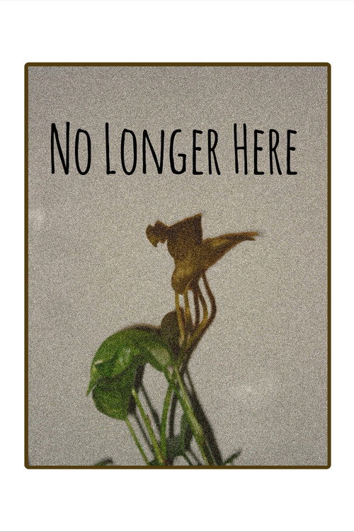 Poster No Longer Here