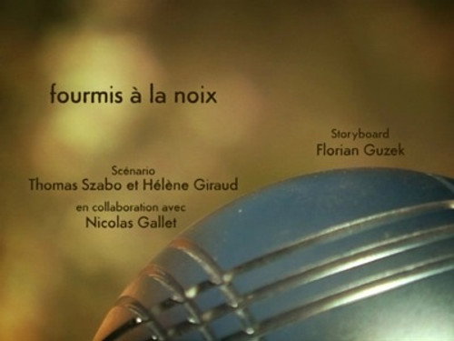 Image Fourmis à la noix