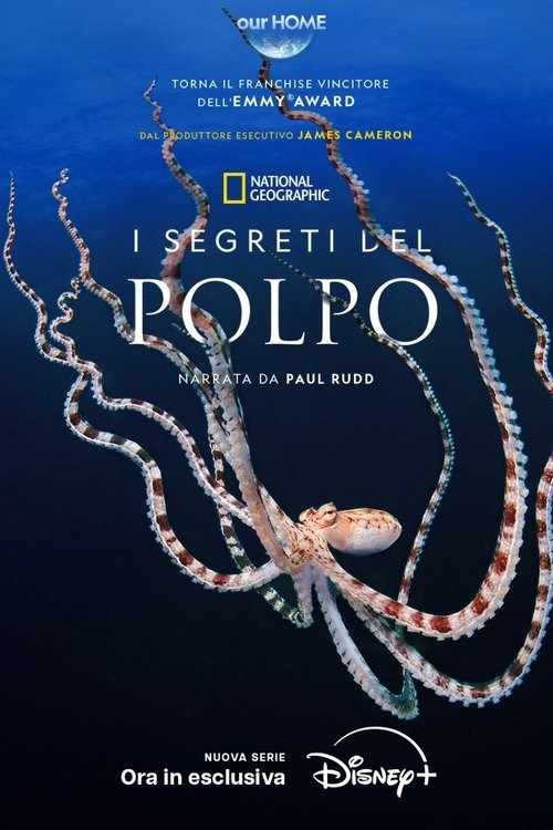 I segreti del polpo