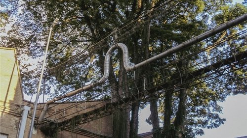 o céu diante dos meus olhos nunca é cinza image 2