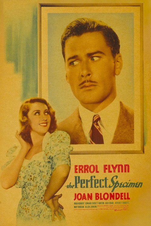 Poster 3