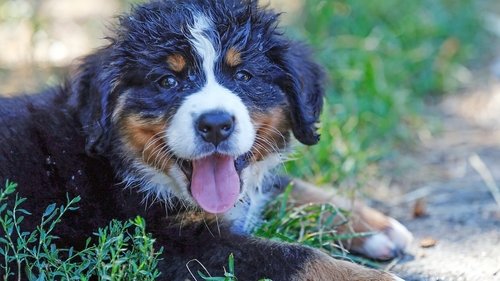 Image de l'épisode 2