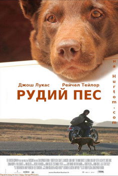Рудий пес / Red Dog (2011) TMDB poster