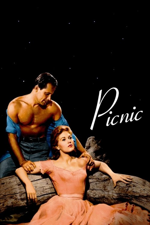 Picnic poster