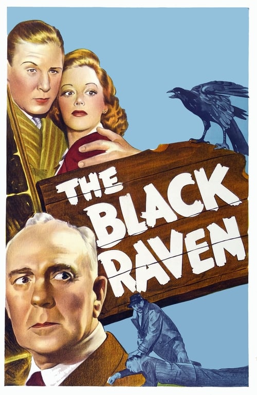 Where to stream The Black Raven