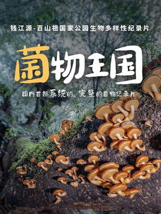 Fungi Kingdom poster