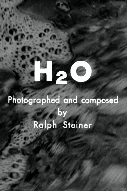 H₂O Movie Poster Image