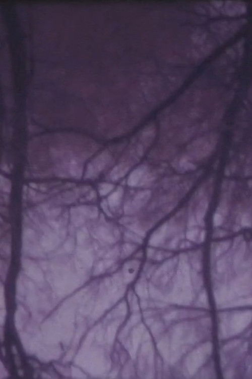 Cartell de The Burning Tree