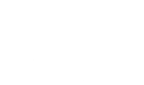 Barbie e o Portal Secreto - Logo 3
