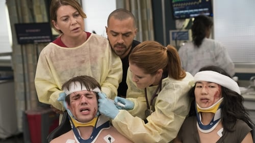 Grey's Anatomy - Season 14 - Episode 7: Who Lives, Who Dies, Who Tells Your Story