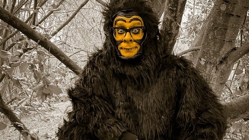 Harry Hill's Lonely Island