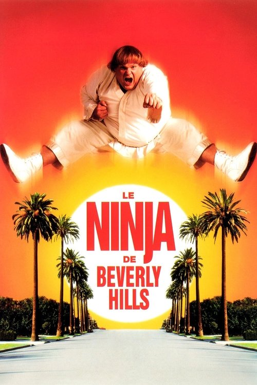 Le Ninja de Beverly Hills (1997)