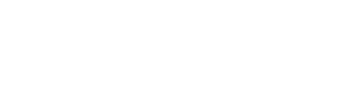 The Witnesses