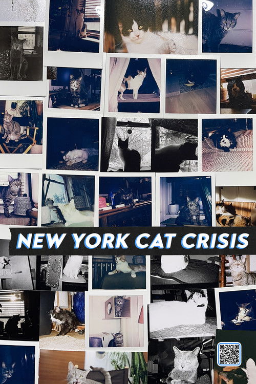 New York Cat Crisis