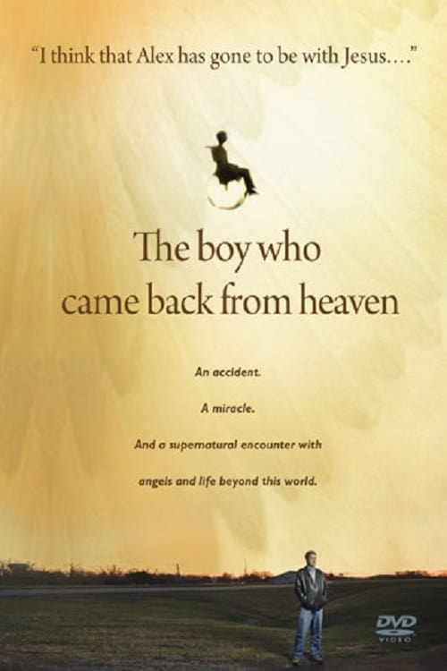 The Boy Who Came Back From Heaven 2010
