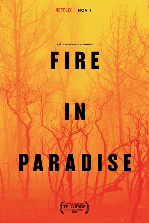 In this documentary, survivors recall the catastrophic 2018 Camp Fire, which razed the town of Paradise and became California’s deadliest wildfire.